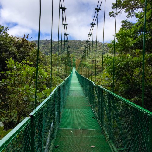 Monteverde Cloud Forest - Costa Rica